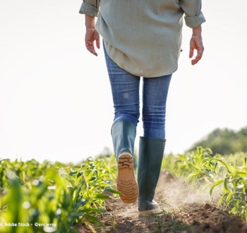 Los agricultores españoles recibieron 5.166 millones en pagos directos de octubre a agosto