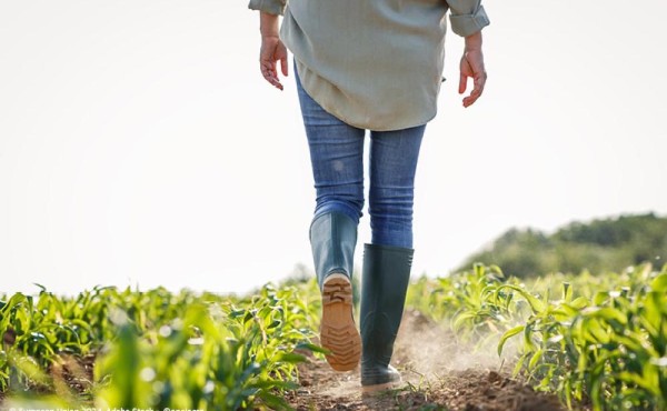 Los agricultores españoles reciben 5.722 millones en pagos directos en el ejercicio 2025