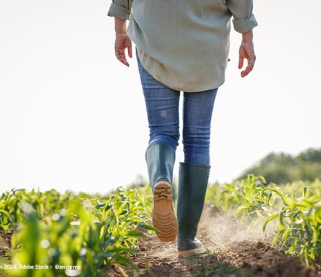 Los agricultores españoles recibieron 5.166 millones en pagos directos de octubre a agosto