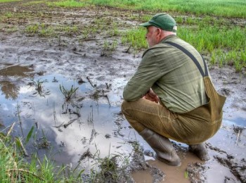La CE aprueba medidas extraordinarias para apoyar a los productores de frutas, hortalizas y vino de Valencia