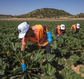 El paro en el sector agrícola baja un 2,77% en mayo