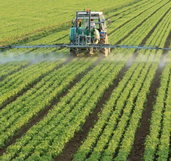 El Copa-Cogeca urge medidas concretas por la falta de soluciones fitosanitarias