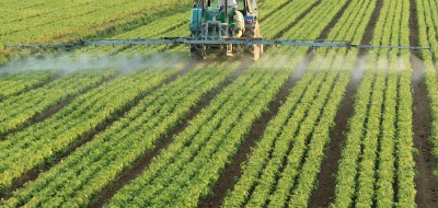El Copa-Cogeca urge medidas concretas por la falta de soluciones fitosanitarias