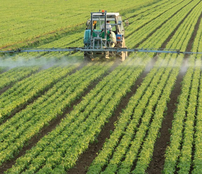 El Copa-Cogeca urge medidas concretas por la falta de soluciones fitosanitarias