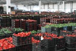 Los precios de exportación de la industria alimentaria caen un 1,3% interanual en abril