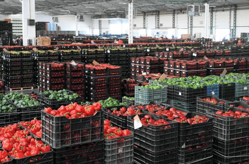 Los precios de exportación de la industria alimentaria caen un 0,2% en enero