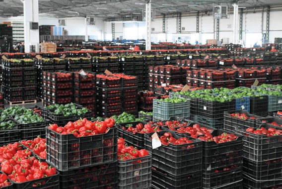 Los precios de exportación de la industria alimentaria caen un 1,3% interanual en abril