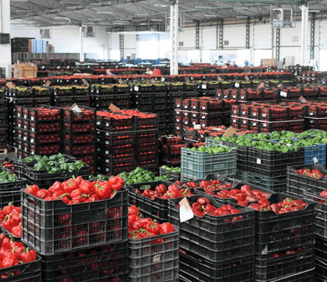 Los precios de exportación de la industria alimentaria caen un 1,3% interanual en abril