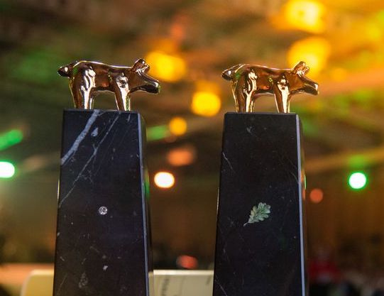 Premios Porc d’Or de Capa Blanca