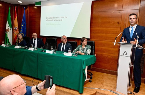 Andalucía prevé una producción de más de un millón de toneladas de aceite de oliva en la próxima campaña