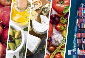 El superávit agroalimentario de la UE disminuyó un 33% en noviembre de 2024 frente al año anterior