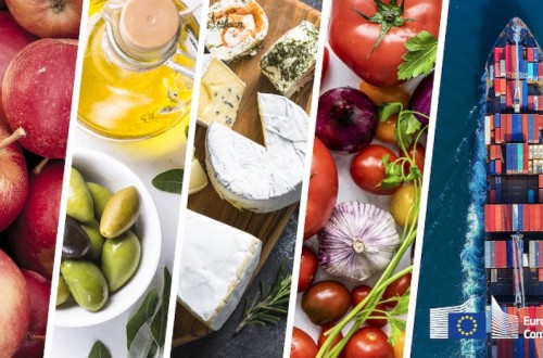 El superávit agroalimentario de la UE disminuyó un 33% en noviembre de 2024 frente al año anterior