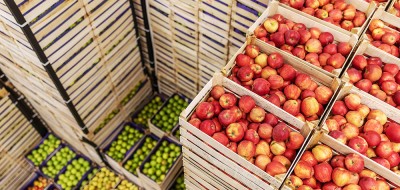 La UE aumenta las cuotas de importación de trigo, carne de ave y azúcar ucranianos