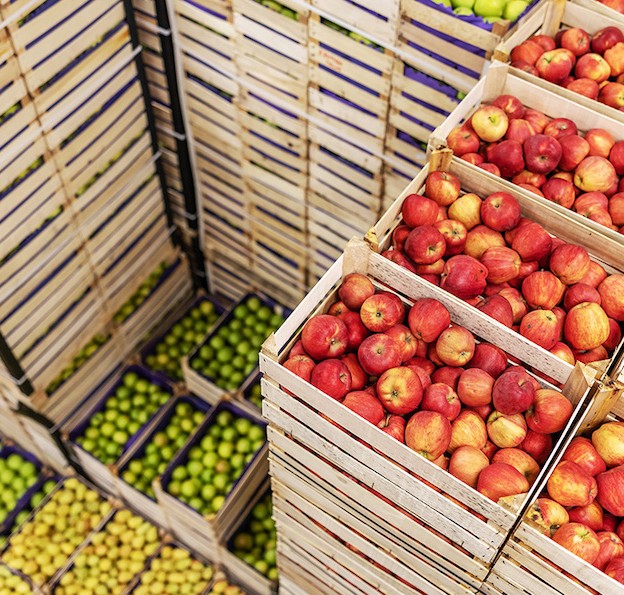 sector_primario_españa_alimentos_caixabank