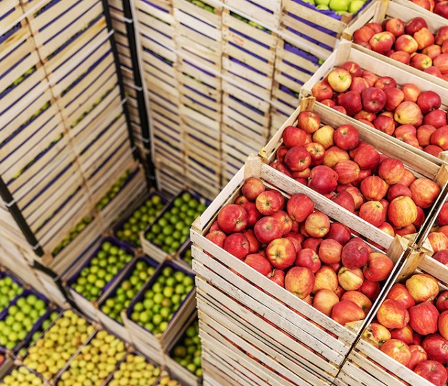 Andalucía TRADE e ICEX impulsan el sector agrícola ante compradores de cinco países