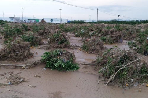 El Ministerio de Agricultura abre una consulta para nuevas ayudas por 165 millones a afectados por la DANA