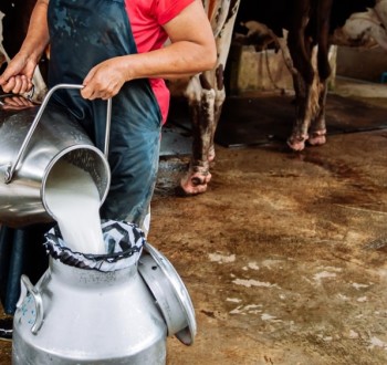 Unión de Uniones lamenta la resolución de la CNMC y denuncia que blanquea las malas prácticas de la distribución de leche