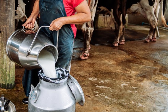 Unión de Uniones lamenta la resolución de la CNMC y denuncia que blanquea las malas prácticas de la distribución de leche
