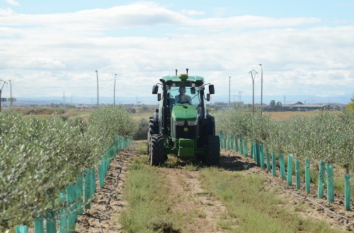 El MAPA abona 5,1 millones en ayudas a 623 nuevos agricultores y ganaderos afectados por la DANA