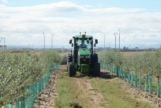 El MAPA abona 5,1 millones en ayudas a 623 nuevos agricultores y ganaderos afectados por la DANA