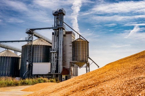 Los precios agrícolas aumentan un 2,2% en el cuarto trimestre de 2024 y los precios de los insumos descienden un 2,7%