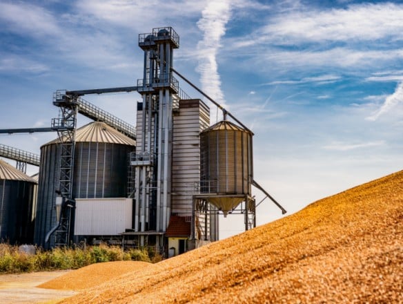 Los precios agrícolas aumentan un 2,2% en el cuarto trimestre de 2024 y los precios de los insumos descienden un 2,7%