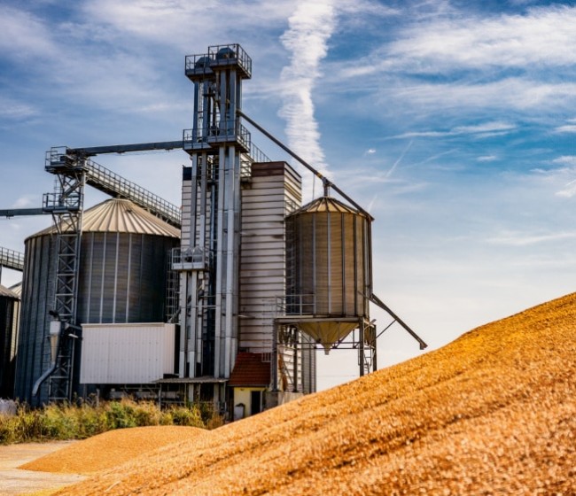 Los precios agrícolas aumentan un 2,2% en el cuarto trimestre de 2024 y los precios de los insumos descienden un 2,7%