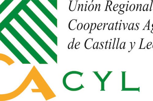 Declaración conjunta de las OPAs y de la URCACYL