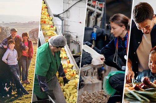 La mayoría del Parlamento Europeo aprueba la hoja de ruta para la agricultura pero advierte de que exigirá un presupuesto sólido
