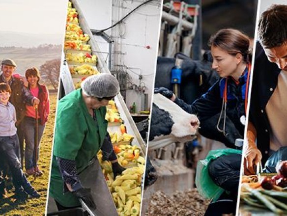 La mayoría del Parlamento Europeo aprueba la hoja de ruta para la agricultura pero advierte de que exigirá un presupuesto sólido
