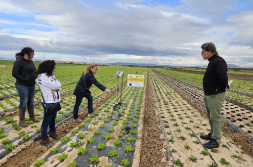 El proyecto Nitrosfera estudia en Murcia la incorporación de microorganismos para mejorar la fertilización del suelo y reducir nitratos