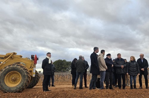 Planas asegura en Valencia que se trabaja en la reparación de caminos, regadíos y explotaciones con una inversión de 170 millones