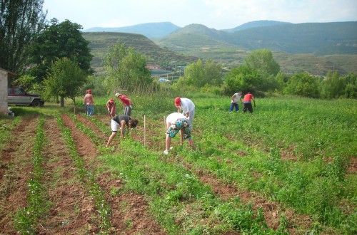 El FEGA asigna 8,85 millones en derechos de la PAC a 2.010 agricultores