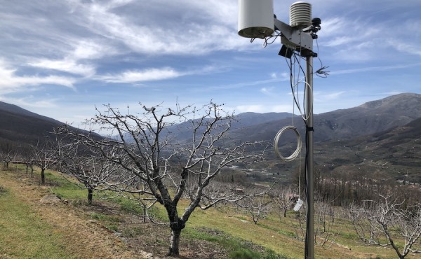 Gestión eficiente del agua en el cerezo del Valle del Jerte