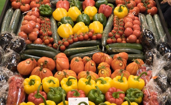 La exportación de frutas y hortalizas frescas desciende un 2% hasta agosto y crece un 7,5% en valor