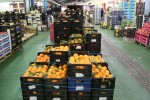 Inquietud en el sector hortofrutícola español por el acuerdo arancelario UE-EEUU