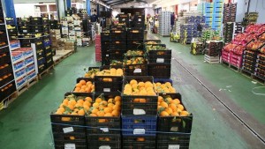 frutas_hortalizas_exportacion