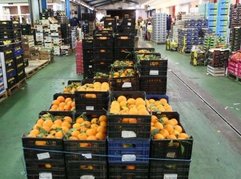 La UNIÓ denuncia el aumento de frutas y hortalizas importadas con pesticidas prohibidos