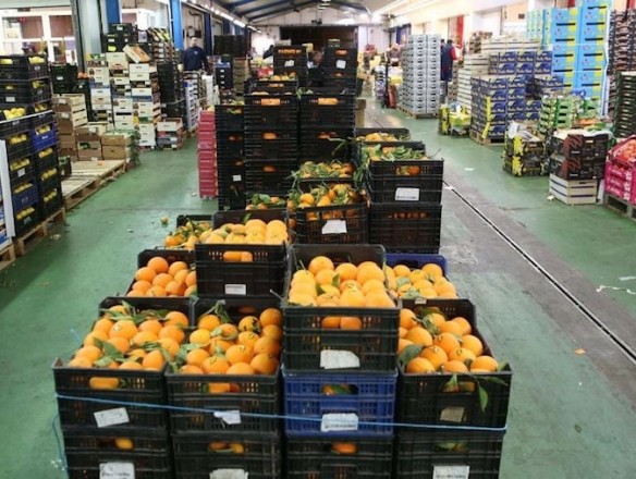 La UNIÓ denuncia el aumento de frutas y hortalizas importadas con pesticidas prohibidos