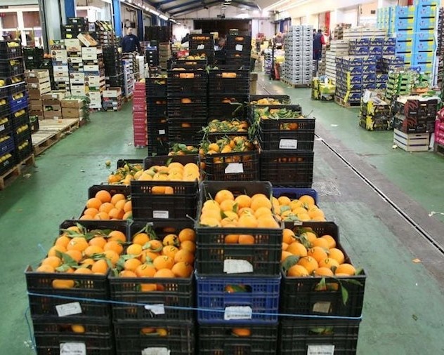 frutas_hortalizas_exportacion