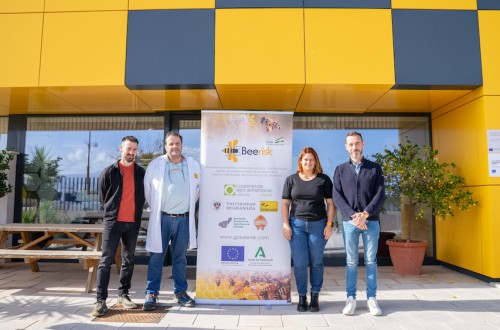 Una “PCR” para abejas: investigadores trabajan en un sistema para la detección rápida de enfermedades en las colmenas