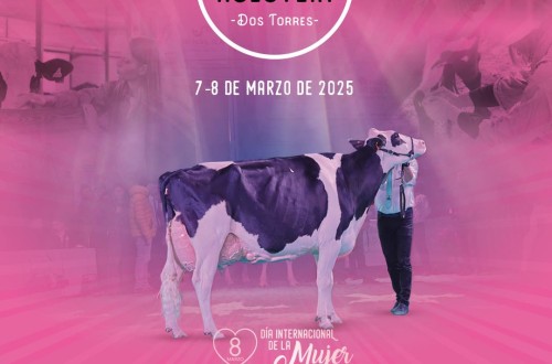 Comienza la XVII Feria de Ganado Frisón “Usías Holstein”