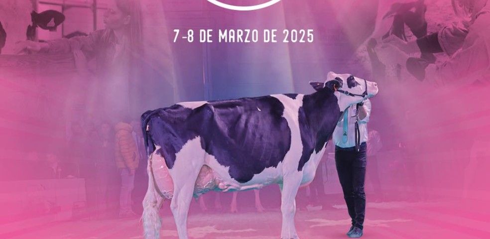Feria ganado frisón