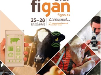 FIGAN anuncia los ganadores de sus Premios Excelencia y del Concurso de Mejoras e Innovaciones Tecnológicas