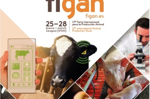 FIGAN anuncia los ganadores de sus Premios Excelencia y del Concurso de Mejoras e Innovaciones Tecnológicas