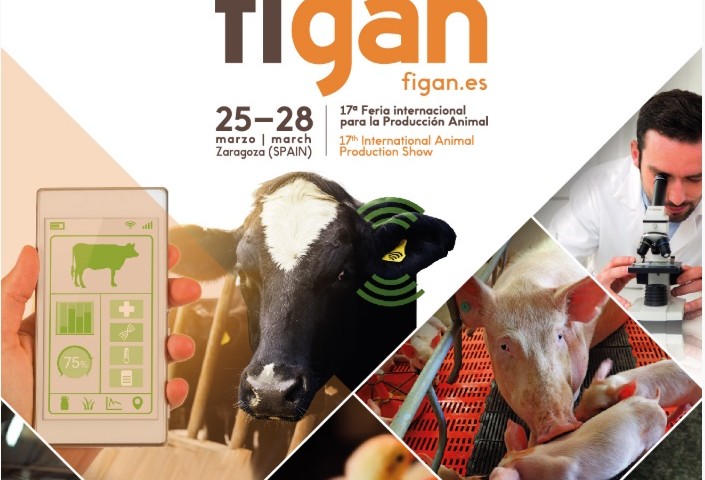 FIGAN