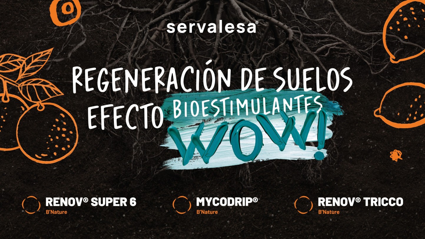 Servalesa presentará este miércoles 26 de marzo en Citrus Connect, estrategias para la regeneración de suelos en citricultura