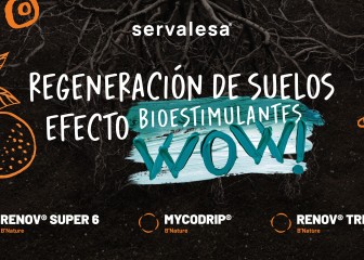 Servalesa presentará este miércoles 26 de marzo en Citrus Connect, estrategias para la regeneración de suelos en citricultura