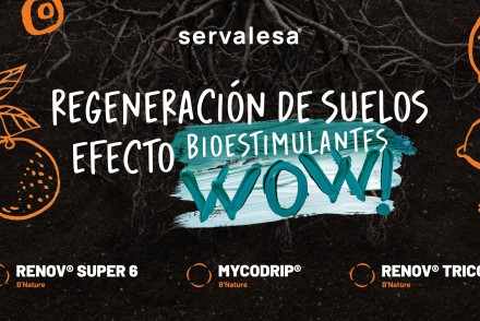 Servalesa presentará este miércoles 26 de marzo en Citrus Connect, estrategias para la regeneración de suelos en citricultura