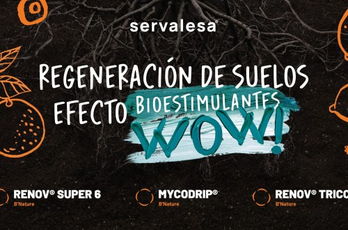 Servalesa presentará este miércoles 26 de marzo en Citrus Connect, estrategias para la regeneración de suelos en citricultura